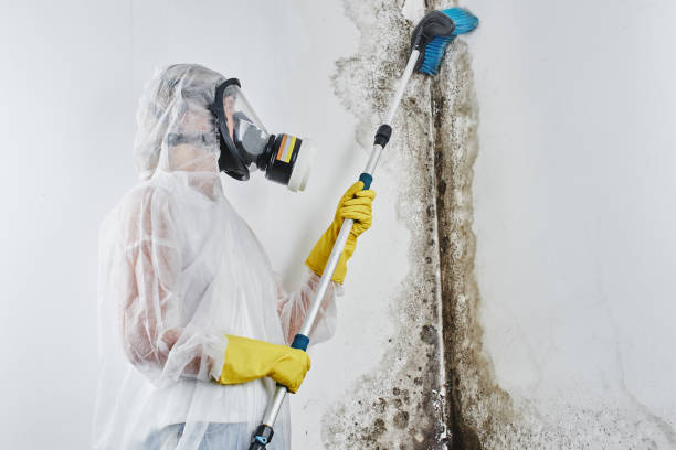 Mold Documentation for Insurance Claims in Camp Croft, SC