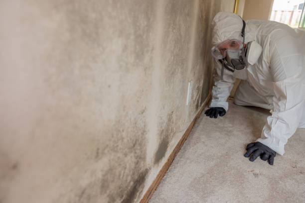 Forensic Mold Investigation in Camp Croft, SC